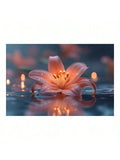 Peach lily canvas wall art with water drops and blue background