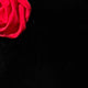 //img.ltwebstatic.com/v4/j/pi/2025/12/11/e6/17654450736a0ae271f1a43d26ba77ae4ac29b42c9.jpg
