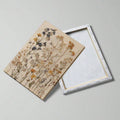 //img.ltwebstatic.com/v4/j/spmp/2026/02/26/c8/17720689742746876b43d9353e0e8631b80acd8ce6_square_thumbnail_900x.webp