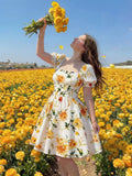 //img.ltwebstatic.com/v4/j/pi/2026/03/16/5d/177366009591690732485228d7c76bada516e542c3_thumbnail_900x.webp