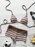 Flat lay of beige brown and purple striped bikini top with matching swim shorts