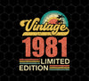 1981 Birthday Png, Vintage 1981 Limited Png, Retro 1981 Birthday, PNG For Shirts, PNG Sublimation