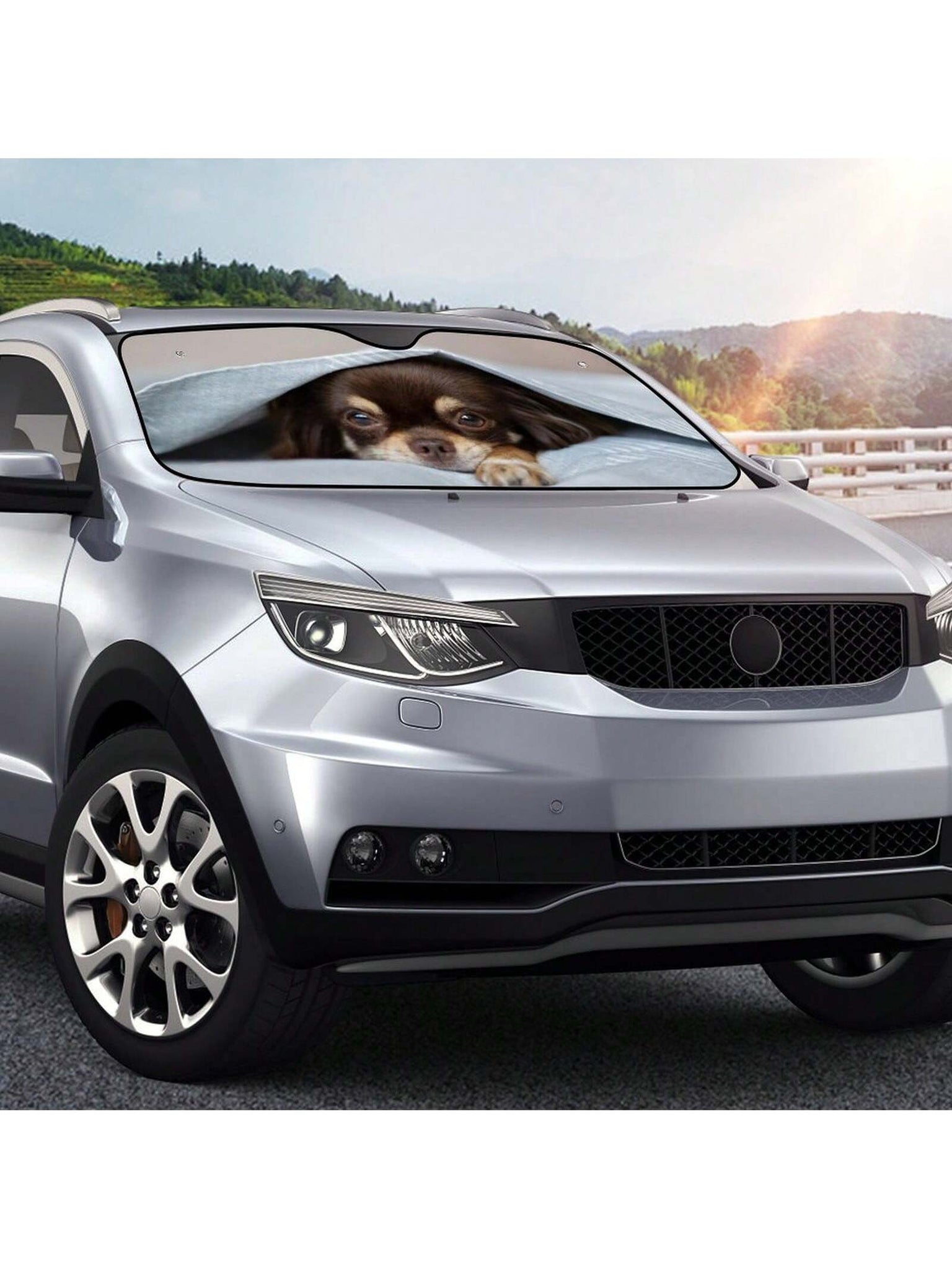 Keep your car cool and stylish with the Adorable Pets Car Windshield Sunshade. This functional sunshade features your favorite furry friends and offers protection from harsh UV rays. With its easy installation and lightweight design, it's the perfect addition to any pet-lover's car. Protect your car and show off your love for pets in one go.