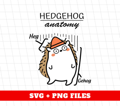 Hedgehog Anatomy, Hed And Gehog, Hedgehog Lover, Digital Files, Png Sublimation