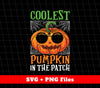 Coolest Pumpkin In The Patch, Halloween Pumpkin, Svg Files, Png Sublimation