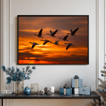 Stunning Sunset Silhouette Of Canada Geese Flying In Formation Nature Photography Wall Art
