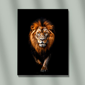 Powerful Close Up Portrait Of A Majestic Lion Emerging From Intense Dark Black Background