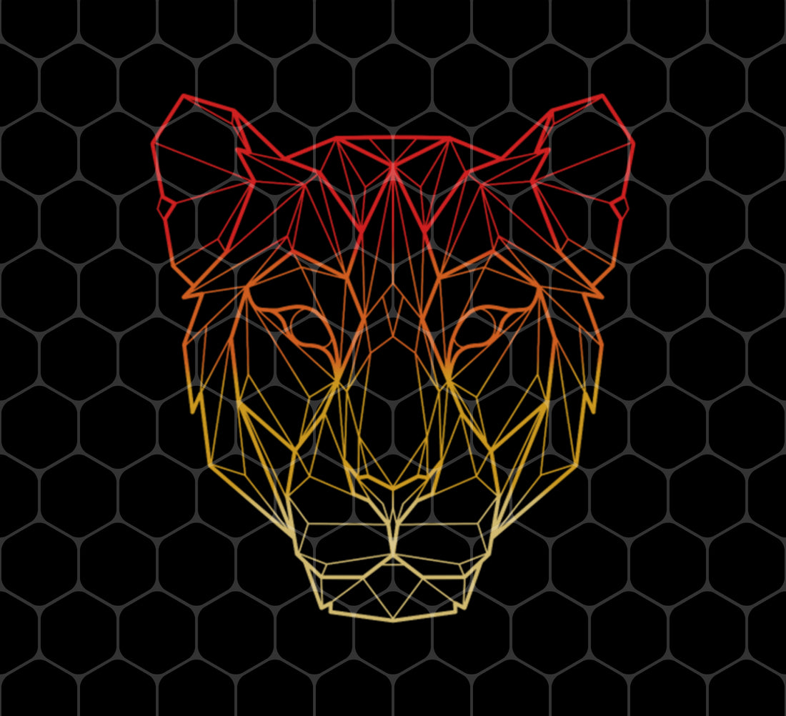 Carnivorous Mammals, Colorful Geometric Lion, Lion Minimalsist, Png Sublimation, Digital File