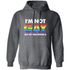 I'm Not Gay, But My Girlfriend Is, LGBT Pride's Day Gifts Pullover Hoodie