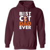 Dad Cat Lover, Best Cat Dad Ever, Best Cute Cat, Love Kitten Gift Pullover Hoodie