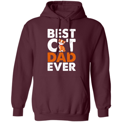 Dad Cat Lover, Best Cat Dad Ever, Best Cute Cat, Love Kitten Gift Pullover Hoodie