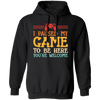 I Paused My Game To Be Here, You're Welcome Pullover Hoodie