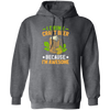 I Drink Craft Beer, Because I'm Awesome, Craft Beer Pullover Hoodie