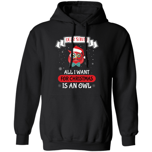 Dear Santa, All I Want For Christmas Is An Owl, Merry Xmas Pullover Hoodie