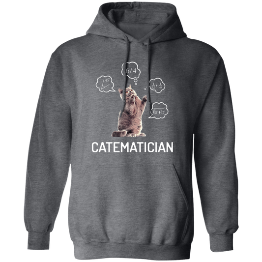 Catematician, Real Cat, Cat Love Math, Mathematics Pullover Hoodie