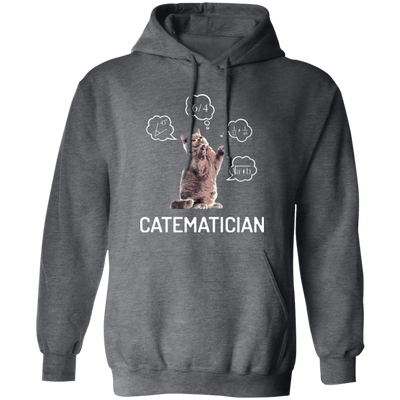 Catematician, Real Cat, Cat Love Math, Mathematics Pullover Hoodie