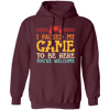 I Paused My Game To Be Here, You're Welcome Pullover Hoodie