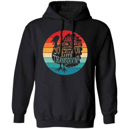 Apart From Turkey, Retro Turkey, You Are The Only One Who's Hot Pullover Hoodie