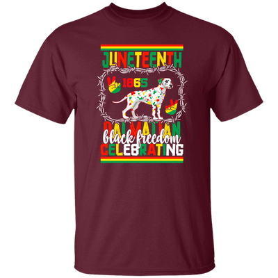 Juneteenth 1865, Black Freedom Celebrating, Black Education Unisex T-Shirt