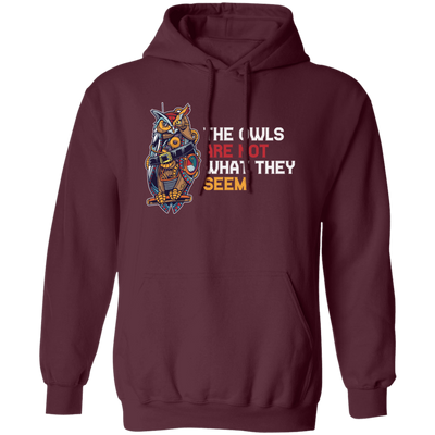 The Owls Are Not What They Seem, Best The Owl What You See, Cute Owl Or Horror Owl Pullover Hoodie