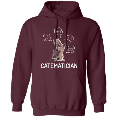 Catematician, Real Cat, Cat Love Math, Mathematics Pullover Hoodie