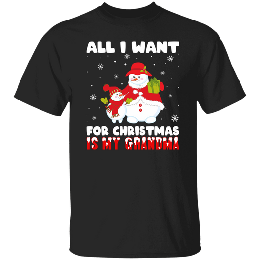 All I Want For Christmas Is My Grandma, Miss My Grandma, Merry Christmas, Trendy Christmas Unisex T-Shirt