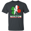 Boston Irish Flag, St Patricks Day, Patrick Gift, Love Boston Gift Unisex T-Shirt