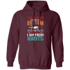 The Closer, I Get To The Bottom, The Further I Am From Idiots Pullover Hoodie