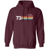 Vintage Gift For 73, 1973 Vintage Birthday, Retro Sunset 1973 Gift Pullover Hoodie