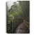 Drizzle In Bamboo Forest, Endless Mountain, Small Bridge In The Forest Canvas