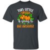 This Little Pumpkin Is Going To Be A Big Brother, Halloween Pumpkin Unisex T-Shirt