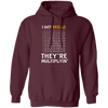 I Got Skills, They're Multiplyin', Multiply In Math Pullover Hoodie