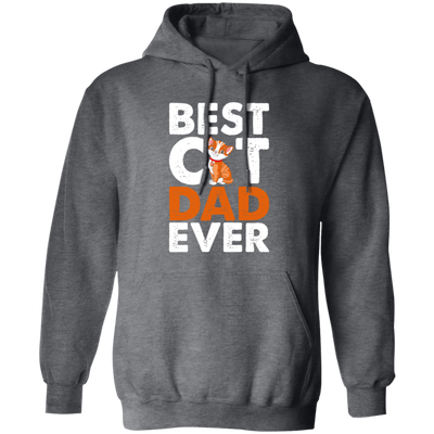 Dad Cat Lover, Best Cat Dad Ever, Best Cute Cat, Love Kitten Gift Pullover Hoodie