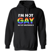 I'm Not Gay, But My Girlfriend Is, LGBT Pride's Day Gifts Pullover Hoodie