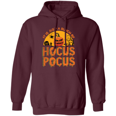 Is Just A Bundle Of Hocus Pocus, Pumpkin Halloween Pullover Hoodie