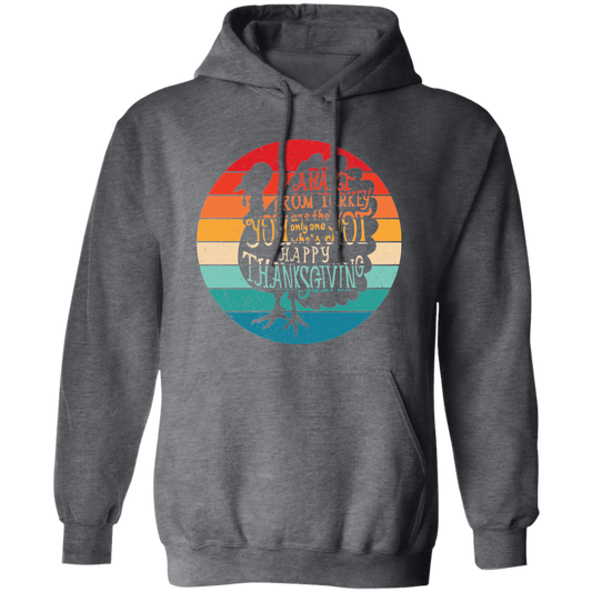 Apart From Turkey, Retro Turkey, You Are The Only One Who's Hot Pullover Hoodie