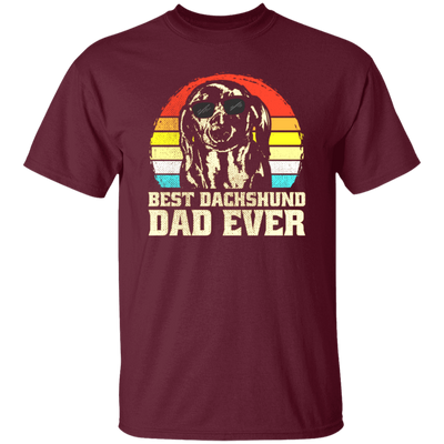 Best Dashpunch Dad Ever, Love Dashpunch, Gift For Dad, Best Dad Gift Unisex T-Shirt