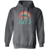 Vintage 1973, Rainbow 1973, Love Gift 1973, Limited Edition 1973 Pullover Hoodie