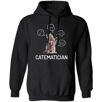 Catematician, Real Cat, Cat Love Math, Mathematics Pullover Hoodie