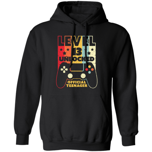 Level 13 Unlocked, Official Teenager 13th, Funny Birthday Gift, Best 13th Pullover Hoodie