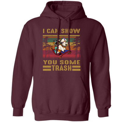 I Can Show You Some Trash Vintage, Retro Raccoon, Beer And Racoon Pullover Hoodie