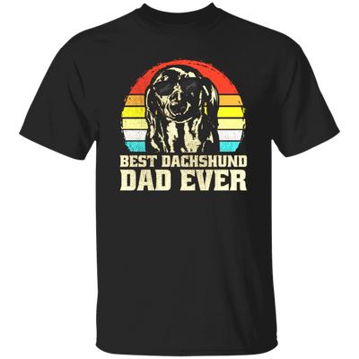 Best Dashpunch Dad Ever, Love Dashpunch, Gift For Dad, Best Dad Gift Unisex T-Shirt