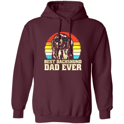 Best Dashpunch Dad Ever, Love Dashpunch, Gift For Dad, Best Dad Gift Pullover Hoodie