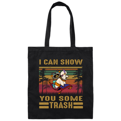 Can Show You Some Trash Vintage Retro Raccoon Canvas Tote Bag