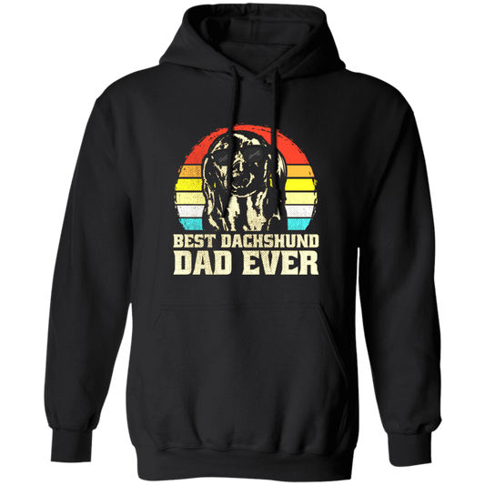 Best Dashpunch Dad Ever, Love Dashpunch, Gift For Dad, Best Dad Gift Pullover Hoodie