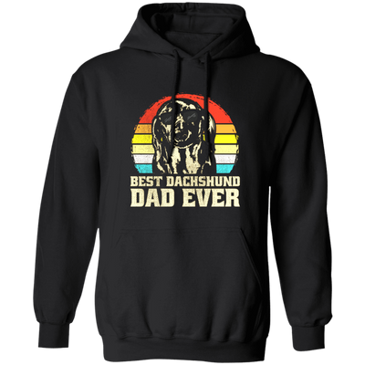 Best Dashpunch Dad Ever, Love Dashpunch, Gift For Dad, Best Dad Gift Pullover Hoodie