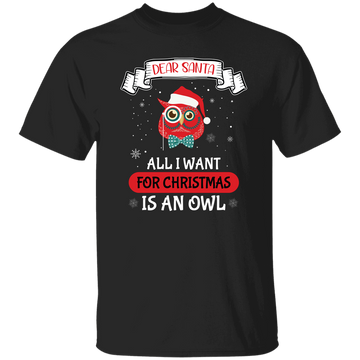 Dear Santa, All I Want For Christmas Is An Owl, Merry Xmas Unisex T-Shirt