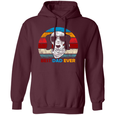 Funny Dog Gift, Retro Sunrise, Retro Tone, Dog Dad Lover Gift Pullover Hoodie