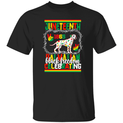 Juneteenth 1865, Black Freedom Celebrating, Black Education Unisex T-Shirt