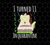 I Turned 11 In Quarantine, 11th Birthday, Cat Birthday, Png For Shirts, Png Sublimation